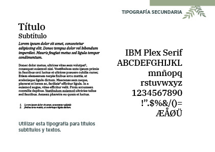 Página 7